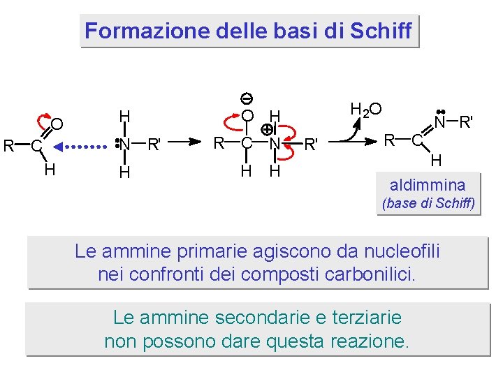 Formazione delle basi di Schiff O H N R' R C H H H