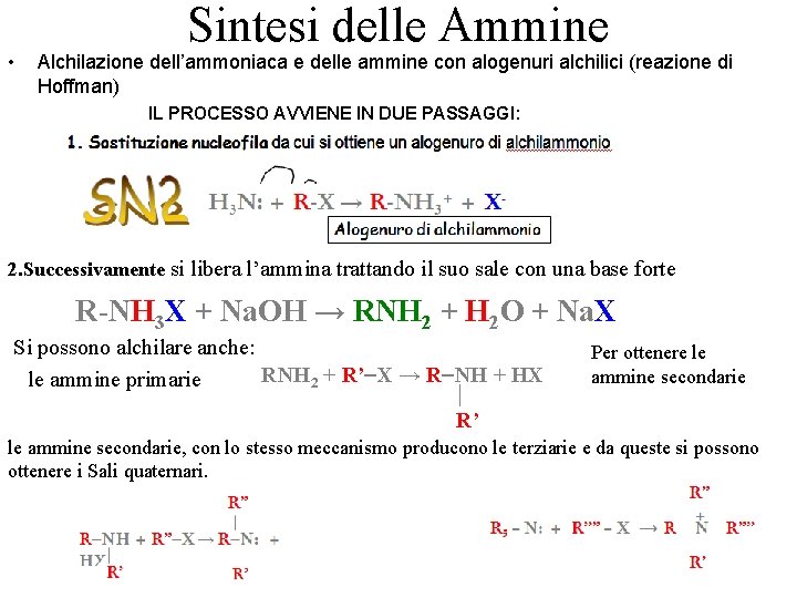  • Sintesi delle Ammine Alchilazione dell’ammoniaca e delle ammine con alogenuri alchilici (reazione