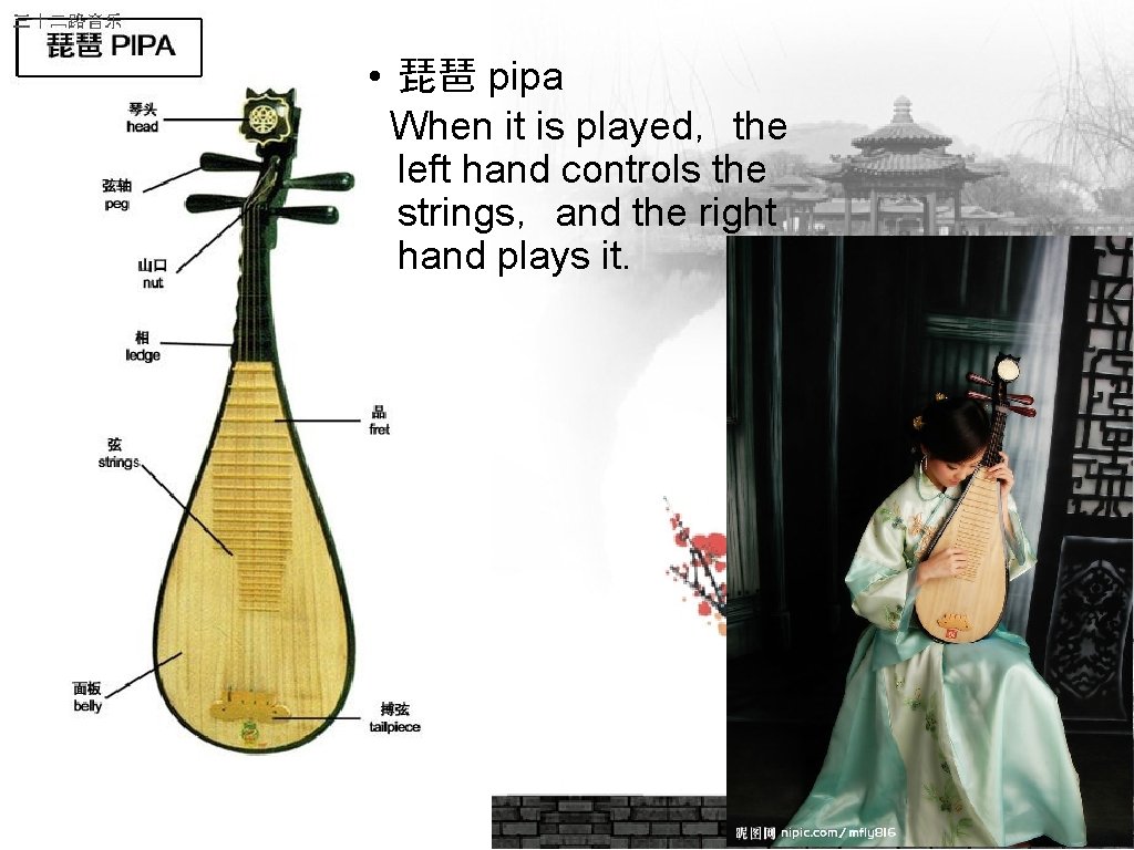  • 琵琶 pipa When it is played，the left hand controls the strings，and the