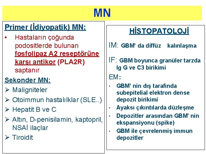 MN Primer (İdiyopatik) MN: • HİSTOPATOLOJİ Hastaların çoğunda IM: GBM’ da diffüz kalınlaşma podositlerde