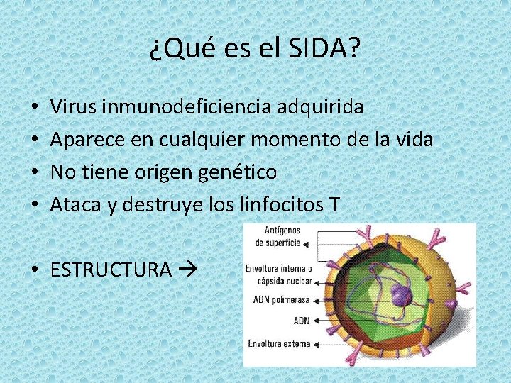 ¿Qué es el SIDA? • • Virus inmunodeficiencia adquirida Aparece en cualquier momento de