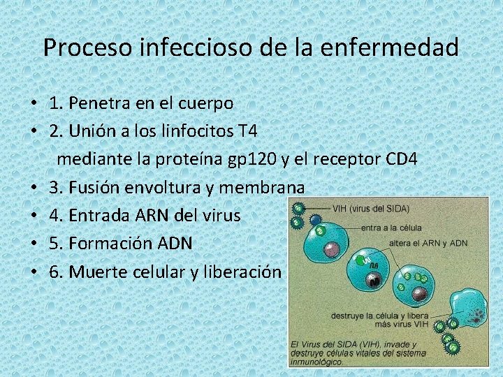 Proceso infeccioso de la enfermedad • 1. Penetra en el cuerpo • 2. Unión