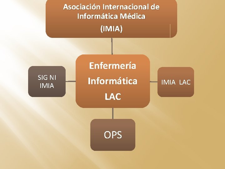 Asociación Internacional de Informática Médica (IMIA) SIG NI IMIA Enfermería Informática LAC OPS IMIA