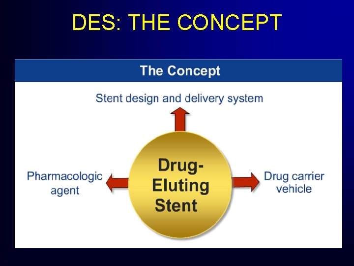 DES: THE CONCEPT DES: THE CONCEPT