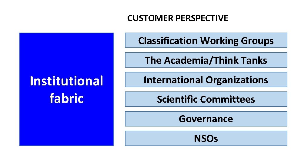 CUSTOMER PERSPECTIVE Classification Working Groups The Academia/Think Tanks Institutional fabric International Organizations Scientific Committees