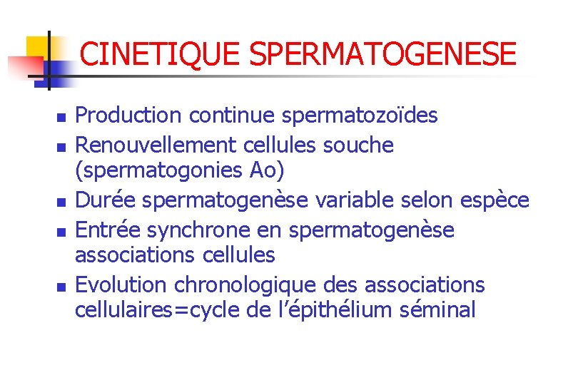 CINETIQUE SPERMATOGENESE n n n Production continue spermatozoïdes Renouvellement cellules souche (spermatogonies Ao) Durée