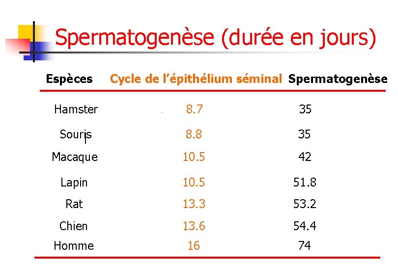 Spermatogenèse (durée en jours) Espèces Cycle de l’épithélium séminal Spermatogenèse Hamster 8. 7 35