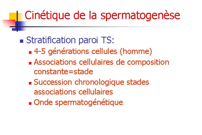 Cinétique de la spermatogenèse n Stratification paroi TS: 4 -5 générations cellules (homme) n