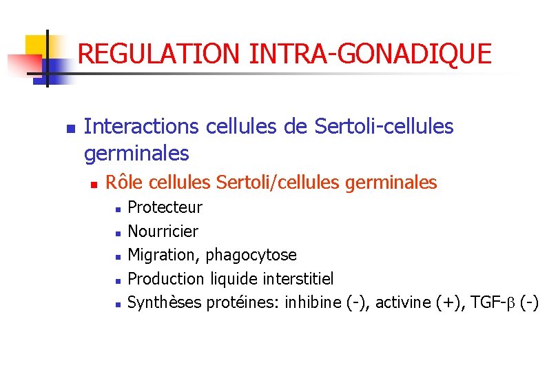 REGULATION INTRA-GONADIQUE n Interactions cellules de Sertoli-cellules germinales n Rôle cellules Sertoli/cellules germinales n