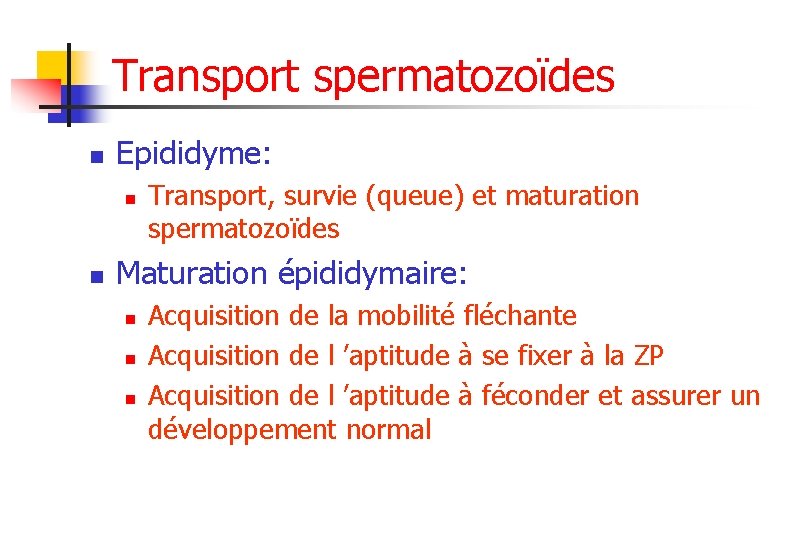 Transport spermatozoïdes n Epididyme: n n Transport, survie (queue) et maturation spermatozoïdes Maturation épididymaire: