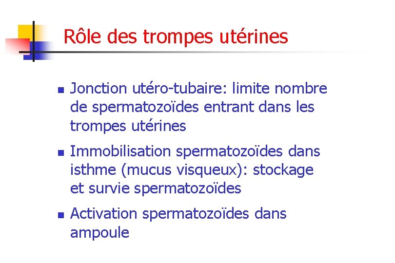 Rôle des trompes utérines n n n Jonction utéro-tubaire: limite nombre de spermatozoïdes entrant