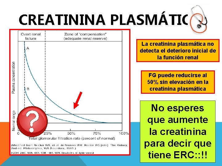 CREATININA PLASMÁTICA La creatinina plasmática no detecta el deterioro inicial de la función renal CREATININA PLASMÁTICA La creatinina plasmática no detecta el deterioro inicial de la función renal