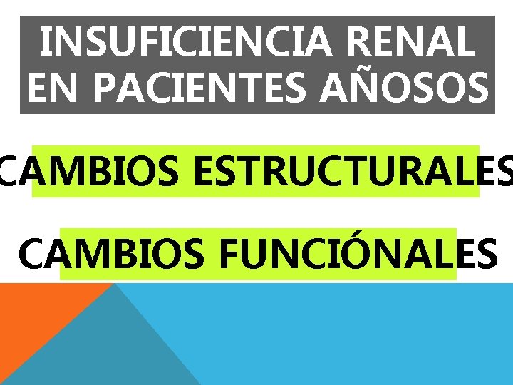 INSUFICIENCIA RENAL EN PACIENTES AÑOSOS CAMBIOS ESTRUCTURALES CAMBIOS FUNCIÓNALES 