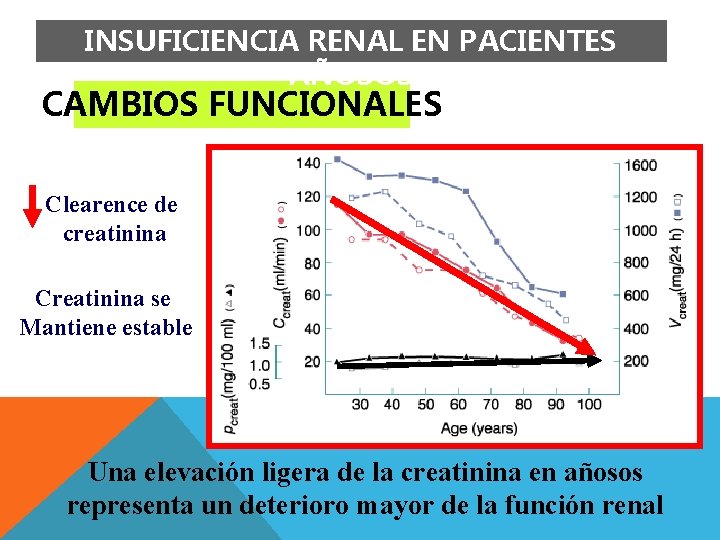 INSUFICIENCIA RENAL EN PACIENTES AÑOSOS CAMBIOS FUNCIONALES Clearence de creatinina Creatinina se Mantiene estable INSUFICIENCIA RENAL EN PACIENTES AÑOSOS CAMBIOS FUNCIONALES Clearence de creatinina Creatinina se Mantiene estable