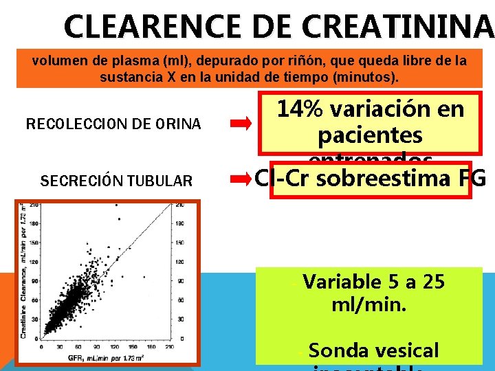 CLEARENCE DE CREATININA volumen de plasma (ml), depurado por riñón, queda libre de la