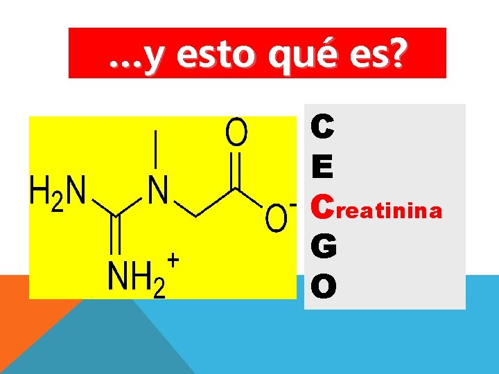 …y esto qué es? C E Urea C reatinina G O 