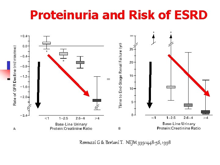 Proteinuria and Risk of ESRD Remuzzi G & Bertani T. NEJM 339: 1448 -56,