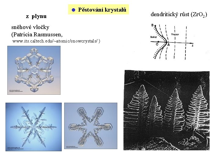 z plynu Pěstování krystalů sněhové vločky (Patricia Rasmussen, www. its. caltech. edu/~atomic/snowcrystals/ ) dendritický