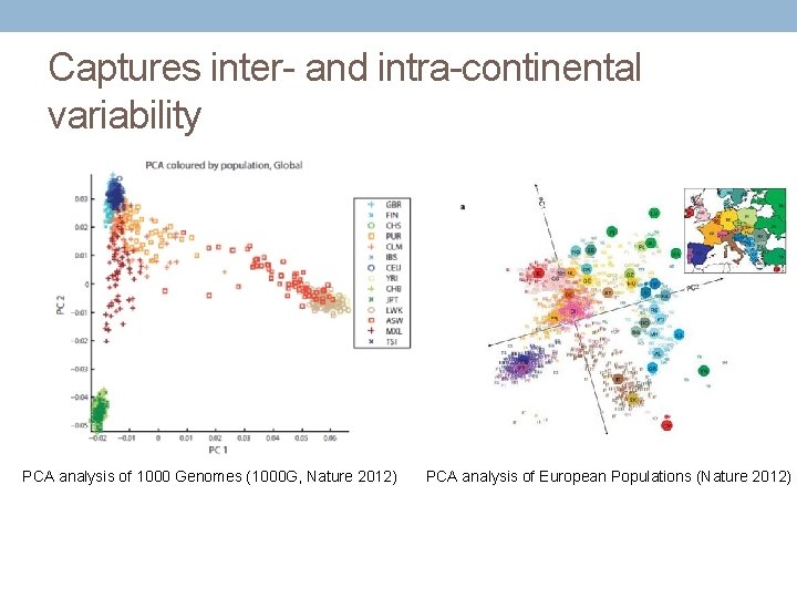 Captures inter- and intra-continental variability PCA analysis of 1000 Genomes (1000 G, Nature 2012)