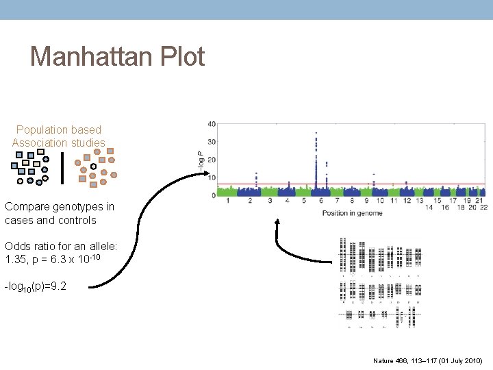 Manhattan Plot Population based Association studies Compare genotypes in cases and controls Odds ratio