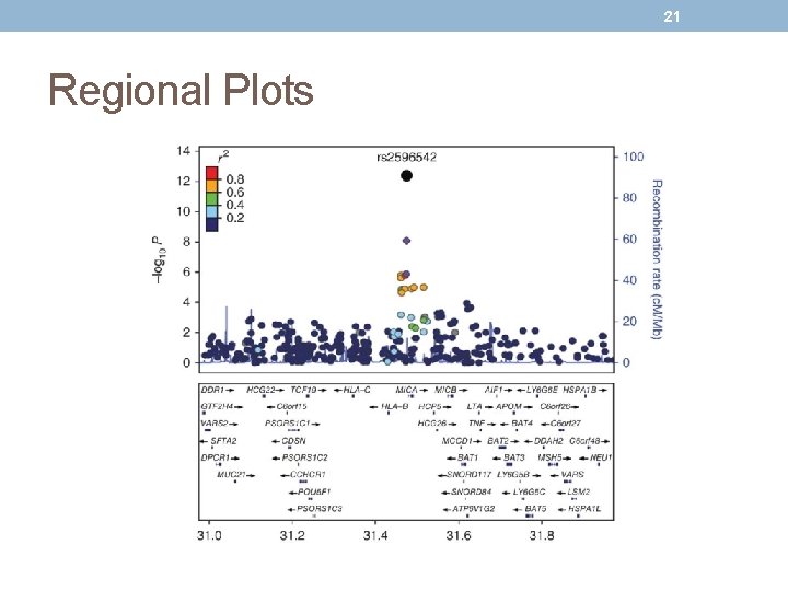 21 Regional Plots 