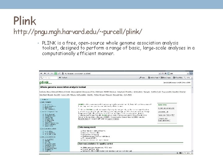 Plink http: //pngu. mgh. harvard. edu/~purcell/plink/ • PLINK is a free, open-source whole genome