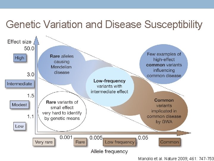 Genetic Variation and Disease Susceptibility Manolio et al. Nature 2009; 461: 747 -753. 