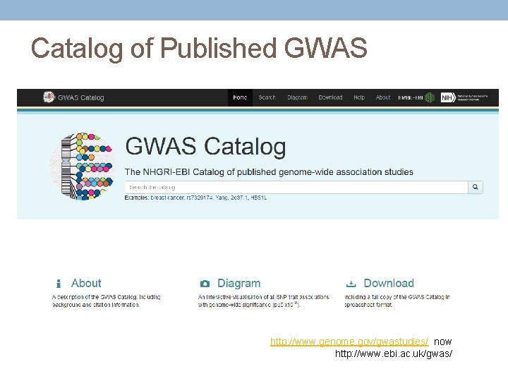 Catalog of Published GWAS http: //www. genome. gov/gwastudies/ now http: //www. ebi. ac. uk/gwas/