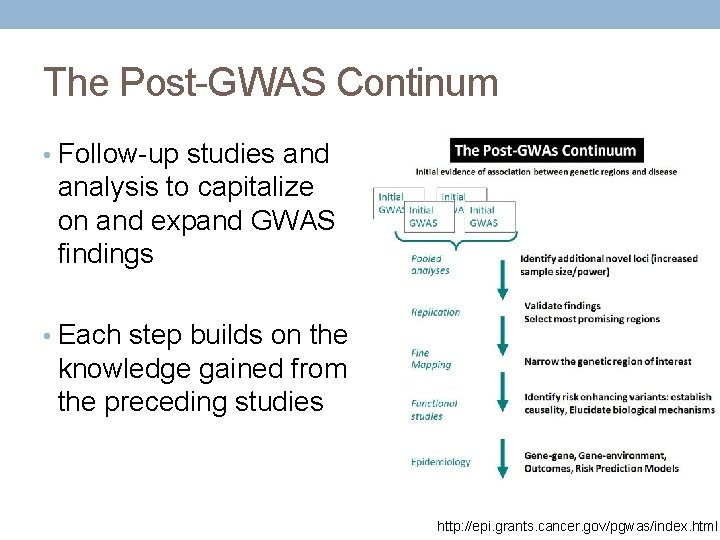 The Post-GWAS Continum • Follow-up studies and analysis to capitalize on and expand GWAS