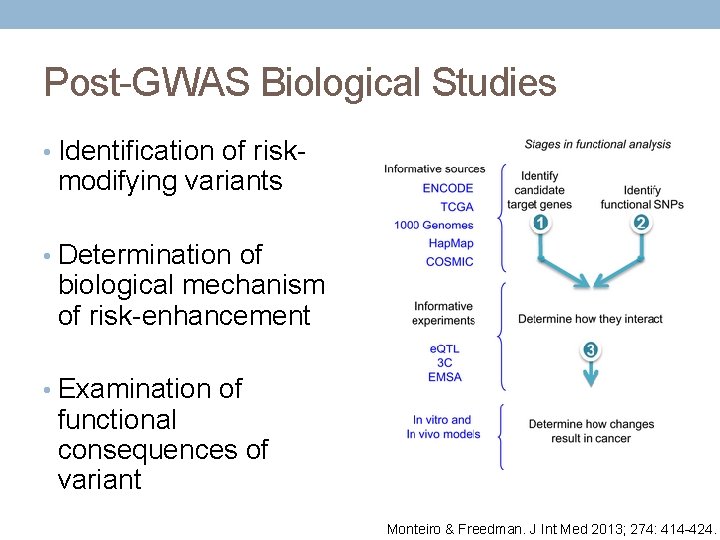 Post-GWAS Biological Studies • Identification of risk- modifying variants • Determination of biological mechanism