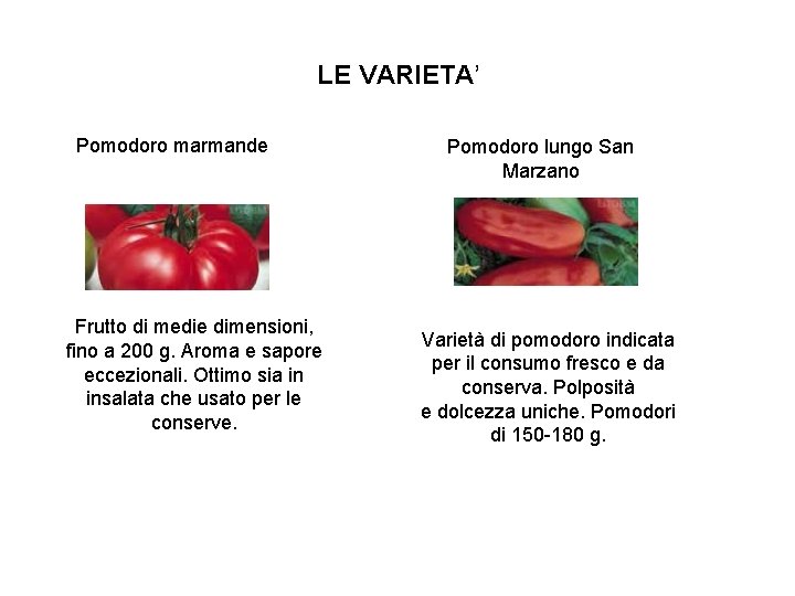 LE VARIETA’ Pomodoro marmande Frutto di medie dimensioni, fino a 200 g. Aroma e