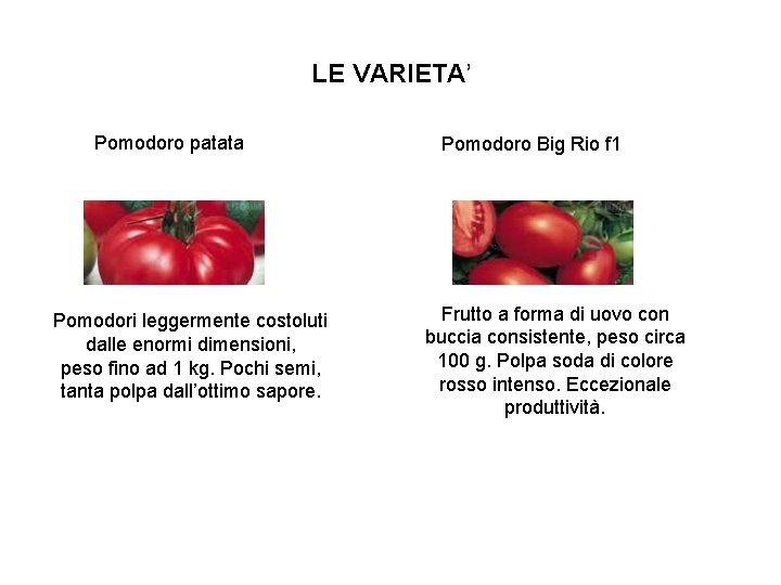 LE VARIETA’ Pomodoro patata Pomodori leggermente costoluti dalle enormi dimensioni, peso fino ad 1