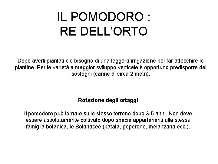 IL POMODORO : RE DELL’ORTO Dopo averli piantati c’è bisogno di una leggera irrigazione IL POMODORO : RE DELL’ORTO Dopo averli piantati c’è bisogno di una leggera irrigazione