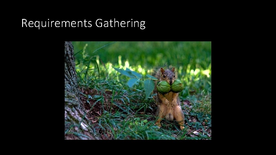 Requirements Gathering 