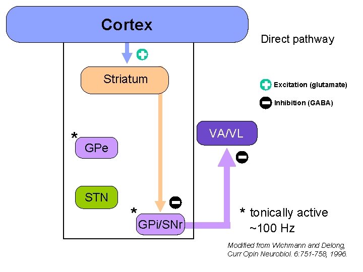 Cortex Direct pathway Striatum Excitation (glutamate) Inhibition (GABA) * VA/VL GPe STN * GPi/SNr