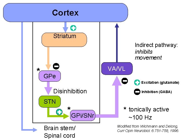 Cortex Striatum Indirect pathway: inhibits movement * VA/VL GPe Excitation (glutamate) Disinhibition Inhibition (GABA)