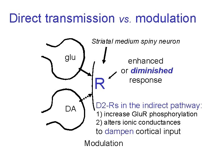 Direct transmission vs. modulation Striatal medium spiny neuron glu R DA enhanced or diminished