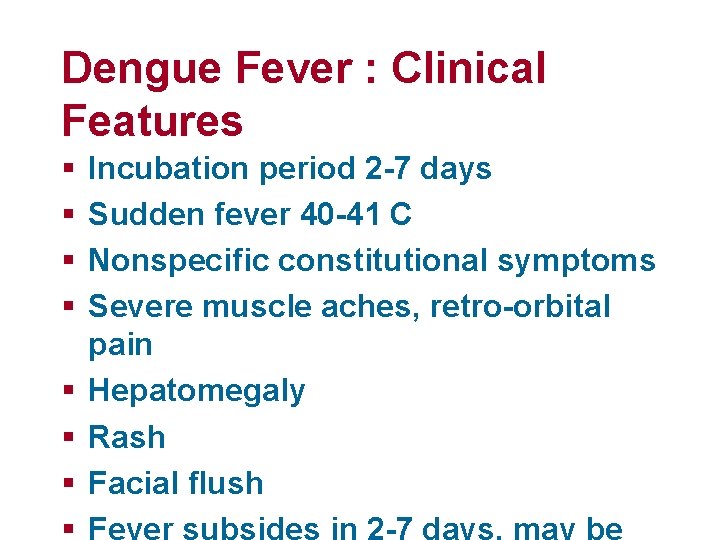 Dengue Fever : Clinical Features § § § § Incubation period 2 -7 days