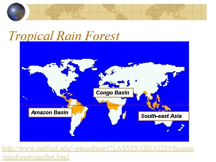 Tropical Rain Forest Congo Basin Amazon Basin South-east Asia http: //www. radford. edu/~swoodwar/CLASSES/GEOG 235/biomes Tropical Rain Forest Congo Basin Amazon Basin South-east Asia http: //www. radford. edu/~swoodwar/CLASSES/GEOG 235/biomes