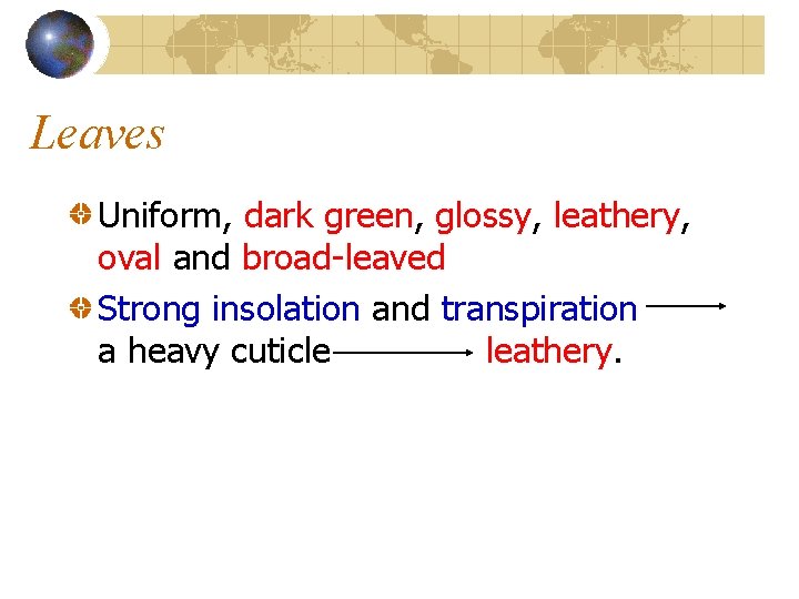 Leaves Uniform, dark green, glossy, leathery, oval and broad-leaved Strong insolation and transpiration a Leaves Uniform, dark green, glossy, leathery, oval and broad-leaved Strong insolation and transpiration a