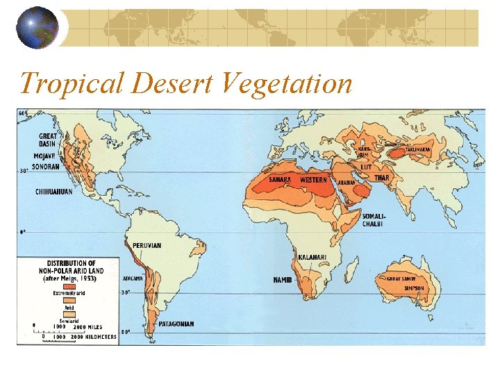 Tropical Desert Vegetation Tropical Desert Vegetation