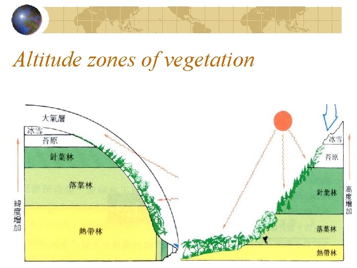 Altitude zones of vegetation Altitude zones of vegetation