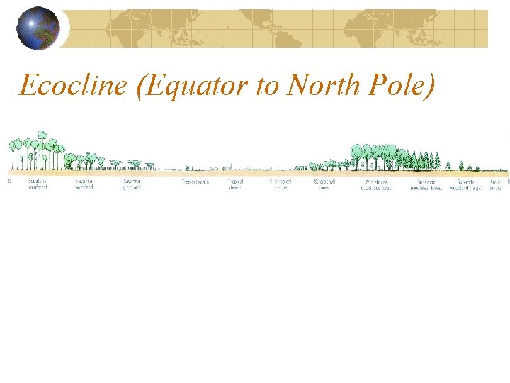 Ecocline (Equator to North Pole) Ecocline (Equator to North Pole)