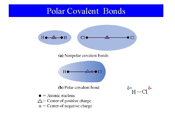 Polar Covalent Bonds δ+ H Cl δ- 