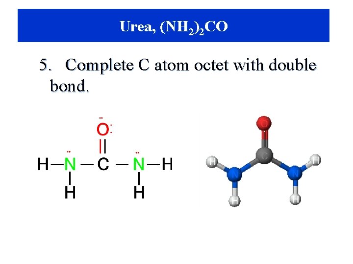 Urea, (NH 2)22)CO 2 CO 5. Complete C atom octet with double bond. 