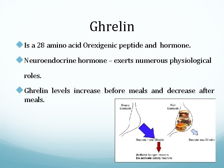 Ghrelin u. Is a 28 amino acid Orexigenic peptide and hormone. u. Neuroendocrine hormone