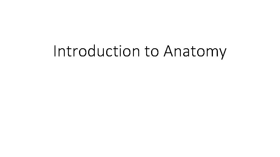 Introduction to Anatomy 