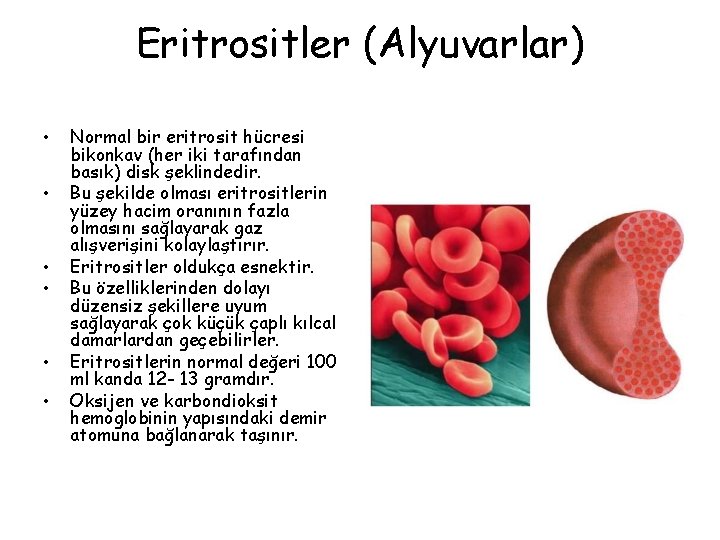 Eritrositler (Alyuvarlar) • • • Normal bir eritrosit hücresi bikonkav (her iki tarafından basık)