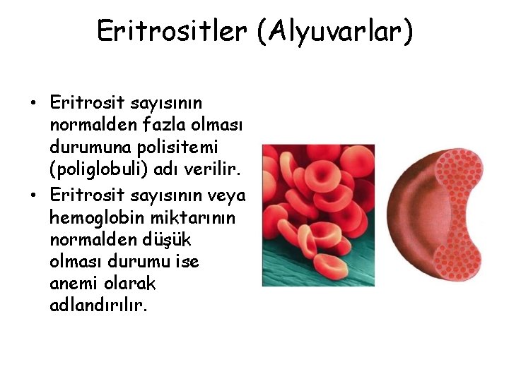 Eritrositler (Alyuvarlar) • Eritrosit sayısının normalden fazla olması durumuna polisitemi (poliglobuli) adı verilir. •