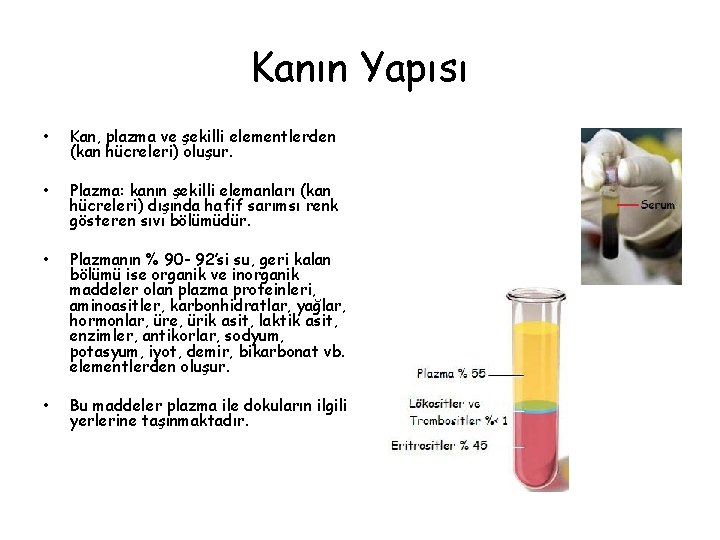 Kanın Yapısı • Kan, plazma ve şekilli elementlerden (kan hücreleri) oluşur. • Plazma: kanın